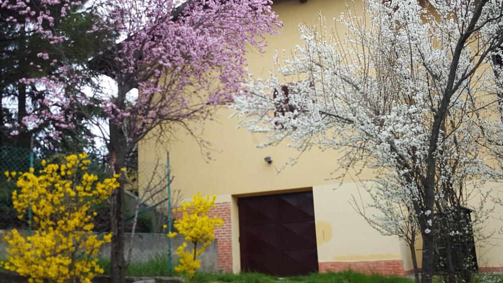 Allevamento B&B Pozzol Groppo Exterior foto