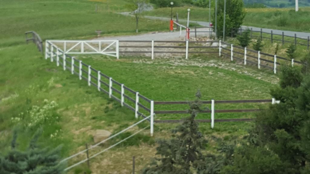 Allevamento B&B Pozzol Groppo Exterior foto